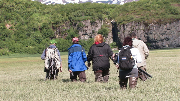 Bear Viewing Katmai National Park Alaska Bear Viewing Katmai National Park Alaska