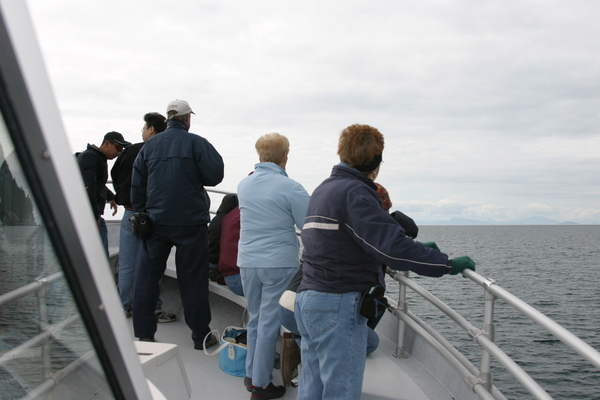 Columbia Glacier Alaska Boat Tours Columbia Glacier Alaska Boat Tours