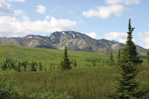 Denali National Park Alaska Denali National Park Alaska