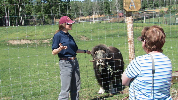 Fairbanks Alaska Large Animal Research Station Fairbanks Alaska Large Animal Research Station