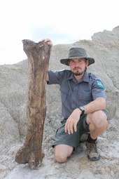 Dinosaur Provincial Park Alberta