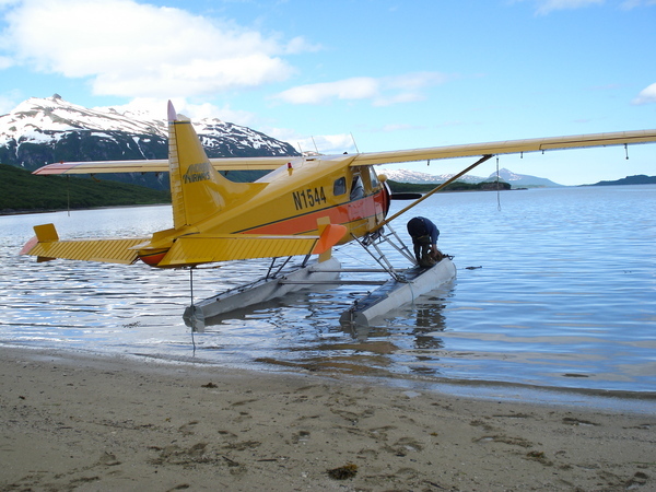 Bear Viewing Katmai National Park Alaska Bear Viewing Katmai National Park Alaska