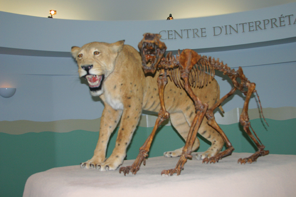 Whitehorse Yukon Beringia Center Whitehorse Yukon Beringia Center