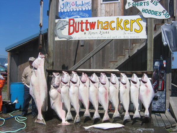 Homer Alaska Fishing Homer Alaska Fishing