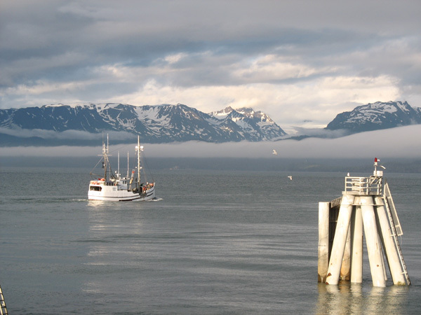 Homer Alaska Homer Alaska