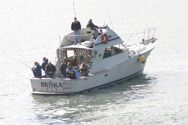 Homer Alaska Fishing