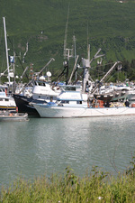 valdez Alaska Harbor